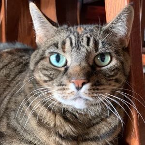 Meet your Posher, Eric